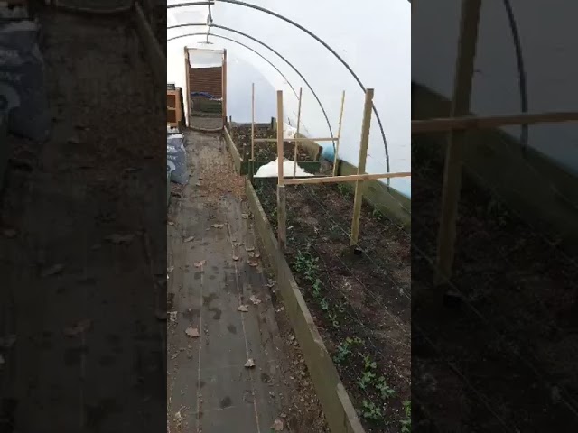 Weekly Wander Episode 18