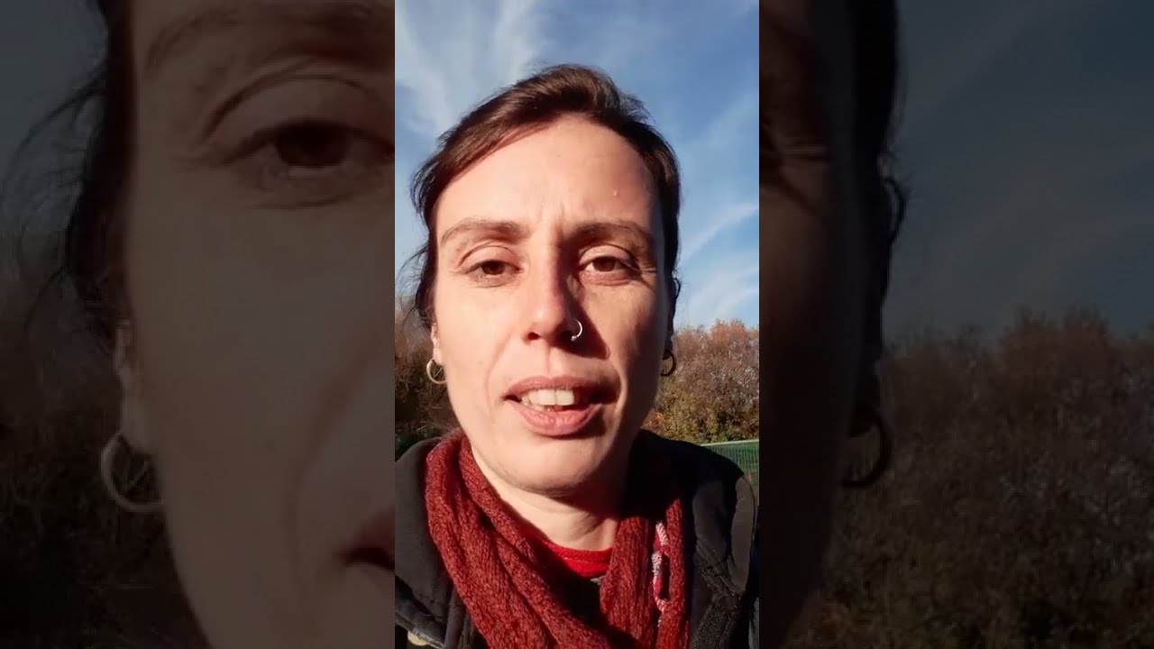 Weekly Wander Episode 16